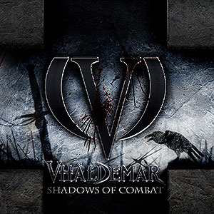VHLDEMAR - Shadows of Combat