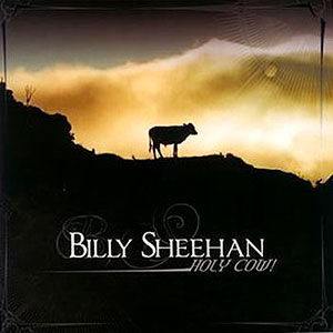 BILLY SHEEHAN - Holy Cow!