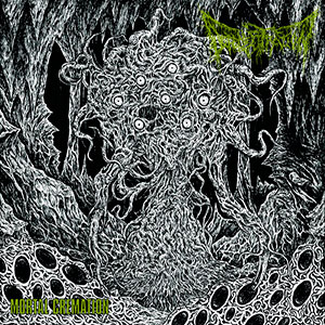 DEFENESTRATION - Mortal Cremation