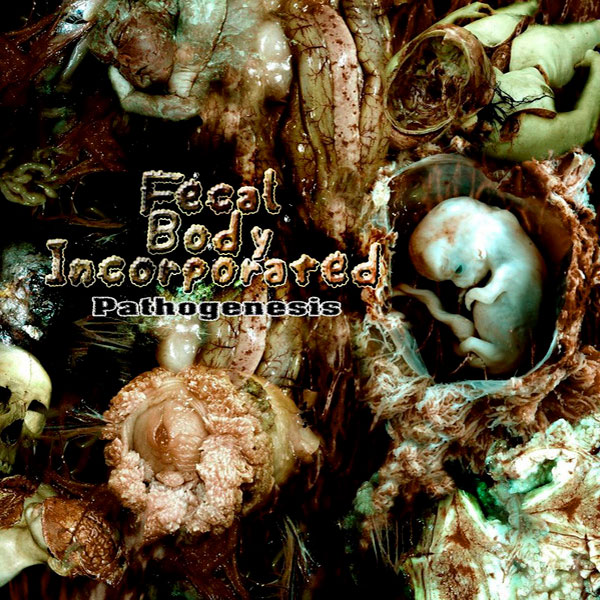 FECAL BODY INCORPORATED - Pathogenesis / Origin of the Grinding Flesh