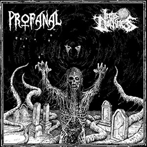 PROFANAL / INTO DARKNESS - Split EP