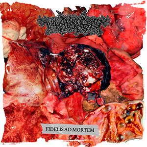 THANATOPSIS (bra) - Fidelis Ad Mortem